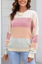 Color Contrast Round Neck Knit Sweater