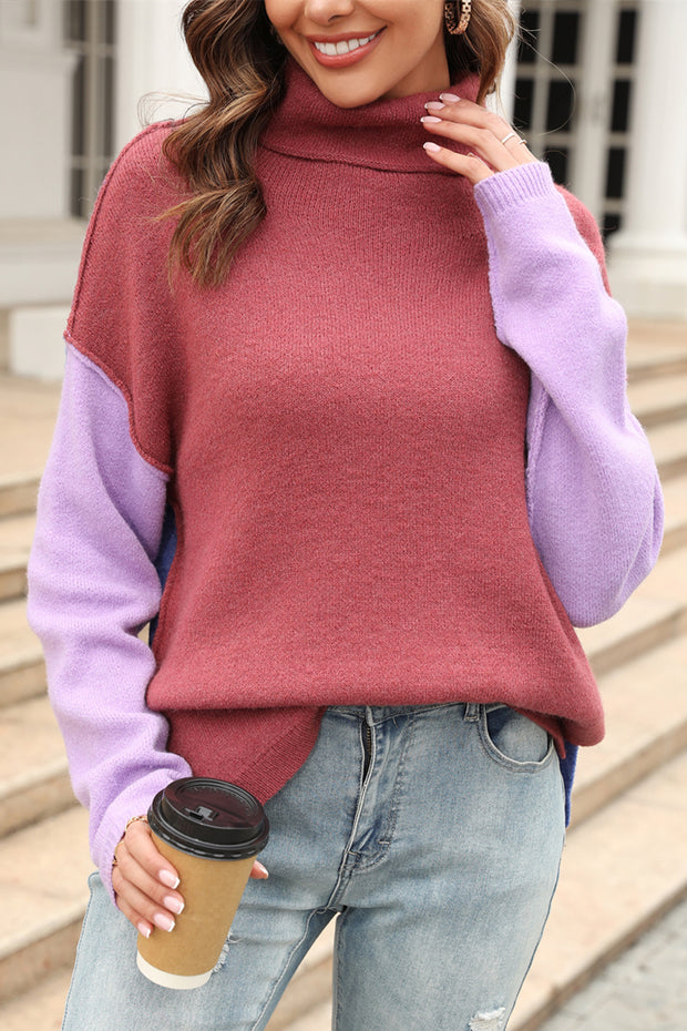 Turtleneck Paneled Color Block Pullover Sweater