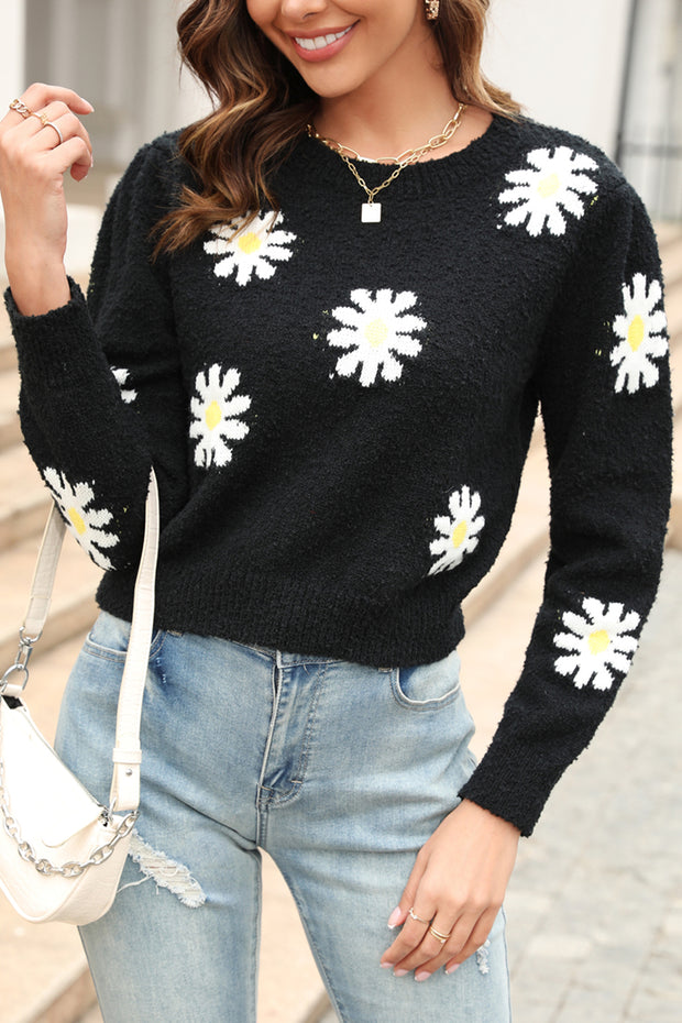 Cropped Daisy Round Neck Knit Sweater